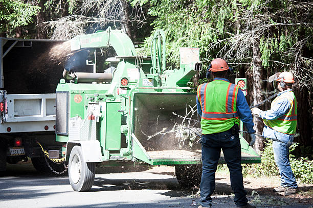 Mulching Services in Hortonville, WI
